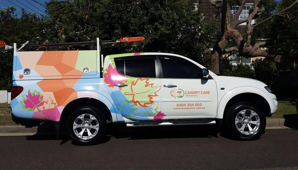 The Canopy Care ute on a Northern Beaches street
